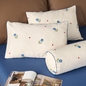 Bộ Ga chun Amando Comfort Cotton Select - Ảnh thumb 24