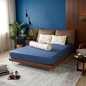 Bộ Ga chun Amando Comfort Cotton Select - Ảnh thumb 28