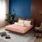 Bộ Ga chun Amando Comfort Cotton Select - Ảnh thumb 2