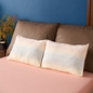 Bộ Ga chun Amando Comfort Cotton Select - Ảnh thumb 13
