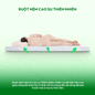 Nệm Gummi Signature – Công nghệ kép, nâng đỡ vượt trội, kháng khuẩn tối đa - Ảnh thumb 8