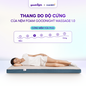 Nệm Foam Goodnight Massage 1.0 - Ảnh thumb 5