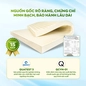 Nệm cao su thiên nhiên Gummi Classic thế hệ mới dày 5/10/15cm - Ảnh thumb 7