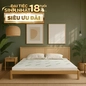 Nệm cao su thiên nhiên Gummi Classic thế hệ mới dày 5/10/15cm - Ảnh thumb 1