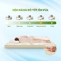 Nệm cao su thiên nhiên Gummi Classic thế hệ mới dày 5/10/15cm - Ảnh thumb 2