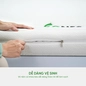 Nệm cao su Gummi 7zones nhập khẩu dày 12cm - Ảnh thumb 9
