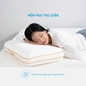 Gối memory foam Doona L'amore cool gel mát lạnh - Ảnh thumb 6