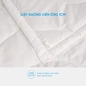 Ruột chăn bông Doona Basic cao cấp - Ảnh thumb 6