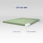 Nệm bông ép Goodnight Nova gấp 3 dày 5/9cm - Ảnh thumb 3