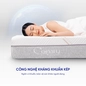 Nệm foam làm mát, kháng khuẩn nâng đỡ 5 vùng Comfy Lux 1.0 - Ảnh thumb 9