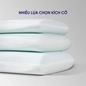 Gối foam iComfy Sofy Air công nghệ Aero Memory Foam độc quyền (BST Ngủ Mát) - Ảnh thumb 2