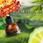 Tinh dầu Sasana Ray Of Tuscany - Ảnh thumb 1