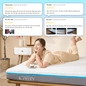 Nệm foam iComfy Coolax massage thoáng mát dày 15cm - Ảnh thumb 15