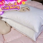 Gối Lông Vũ Giang Sơn Down - Ảnh thumb 1