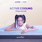 Nệm foam công nghệ Đức Goodnight Active Hybrid dày 20cm - Ảnh thumb 11