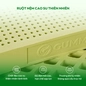 Nệm Gummi Signature – Công nghệ kép, nâng đỡ vượt trội, kháng khuẩn tối đa - Ảnh thumb 4