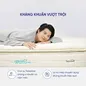 (Xả kho) Nệm lò xo túi độc lập Dunlopillo William dày 29cm - Ảnh thumb 7