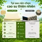 Nệm cao su thiên nhiên Gummi Classic thế hệ mới dày 5/10/15cm - Ảnh thumb 11