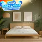 Nệm cao su thiên nhiên Gummi Classic thế hệ mới dày 5/10/15cm - Ảnh thumb 1