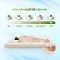 Nệm cao su thiên nhiên Gummi Classic thế hệ mới dày 5/10/15cm - Ảnh thumb 2