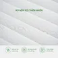 Nệm cao su Gummi 7zones nhập khẩu dày 12cm - Ảnh thumb 6