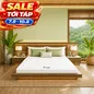 Nệm cao su Gummi 7zones nhập khẩu dày 12cm - Ảnh thumb 1