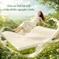 Nệm cao su Gummi 7zones nhập khẩu dày 12cm - Ảnh thumb 5