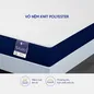 Nệm foam Goodnight Galaxy trà xanh kháng khuẩn dày 12cm - Ảnh thumb 7