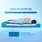 Nệm foam Nhật Bản Aeroflow Pride bảo vệ cột sống dày 22cm - Ảnh thumb 3