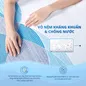 Nệm foam Nhật Bản Aeroflow Pride bảo vệ cột sống dày 22cm - Ảnh thumb 8