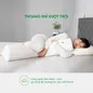 Gối ôm Cao su Gummi Body 100% thiên nhiên thoáng mát - Ảnh thumb 6