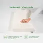 Gối cao su Gummi Oren 100% thiên nhiên massage cổ vai gáy - Ảnh thumb 5