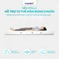 Nệm cao su đa tầng Kim Cương Stella dày 15cm - Ảnh thumb 5