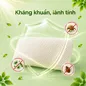 Gối cao su Gummi Cookie 100% thiên nhiên nâng đỡ, giảm căng cơ - Ảnh thumb 4