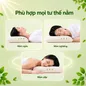 Gối cao su Gummi Cookie 100% thiên nhiên nâng đỡ, giảm căng cơ - Ảnh thumb 6