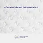 (Phiên bản giới hạn) Nệm lò xo Serta Pedic iBalance cao cấp điều hoà thân nhiệt dày 36cm - Ảnh thumb 5