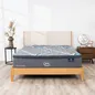 (Phiên bản giới hạn) Nệm lò xo Serta Perfect Sleeper Grand Suite cao cấp kháng khuẩn dày 30cm - Ảnh thumb 1