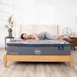 (Phiên bản giới hạn) Nệm lò xo Serta Perfect Sleeper Grand Suite cao cấp kháng khuẩn dày 30cm - Ảnh thumb 8