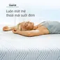 (Phiên bản giới hạn) Nệm Foam Tempur Pro Plus Firm cân bằng trọng lực dày 25cm - thumb
