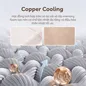 Nệm foam làm mát, kháng khuẩn nâng đỡ 5 vùng Comfy Lux 1.0 - Ảnh thumb 10