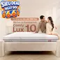 Nệm foam làm mát, kháng khuẩn nâng đỡ 5 vùng Comfy Lux 1.0 - Ảnh thumb 1