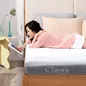 Nệm foam Comfy Cloud 3.0 cân bằng trọng lực dày 18cm - Ảnh thumb 13