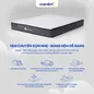 Nệm lò xo Amando Elite Original túi độc lập tiêu chuẩn khách sạn 5 sao dày 23cm - Ảnh thumb 7