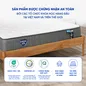 Nệm lò xo Spring Air Back Supporter Firm hỗ trợ nâng đỡ dày 25cm - Ảnh thumb 6