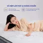 Nệm lò xo túi độc lập Amando Elite Plus giảm tiếng ồn dày 25cm - Ảnh thumb 13