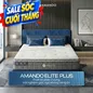 Nệm lò xo túi độc lập Amando Elite Plus ngủ mát, êm sâu dày 25cm - Ảnh thumb 1