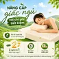 Nệm cao su đa tầng Gummi Lite giá tốt dày 10cm - Ảnh thumb 9