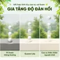 Nệm cao su đa tầng Gummi Lite giá tốt dày 10cm - Ảnh thumb 5
