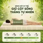 Nệm cao su đa tầng Gummi Lite giá tốt dày 10cm - Ảnh thumb 6