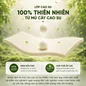 Nệm cao su đa tầng Gummi Lite giá tốt dày 10cm - Ảnh thumb 3